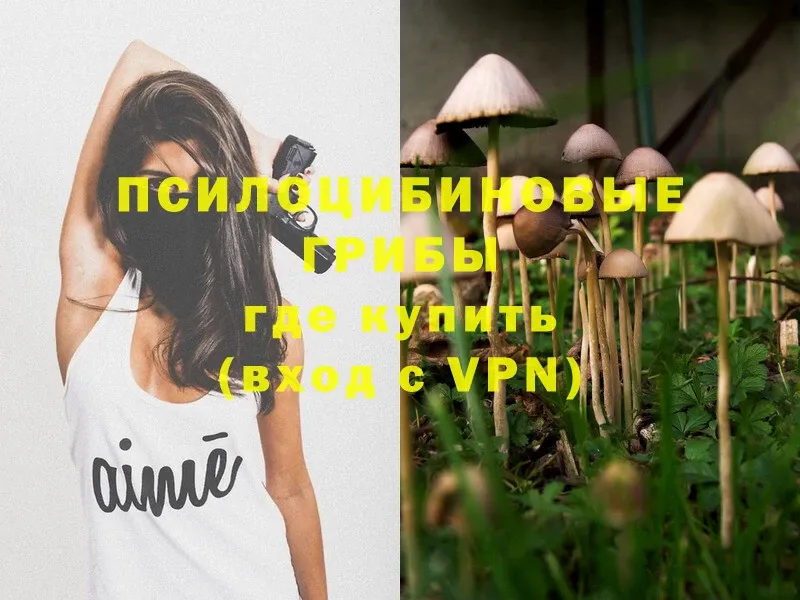 Галлюциногенные грибы MAGIC MUSHROOMS  купить  сайты  площадка телеграм  Мичуринск 